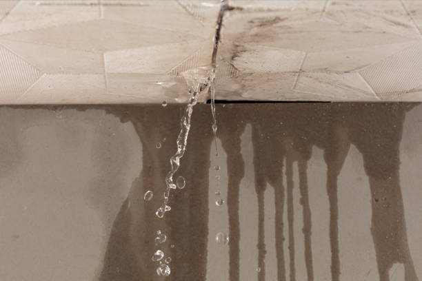 Professional Flood Damage Cleanup technician working in Fox Lake, IL